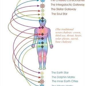 Meet your Posher, Julius